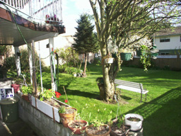 Backyard Facing TelUS