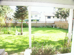 Backyard from ground level