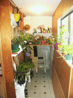Planting room south facing windows
